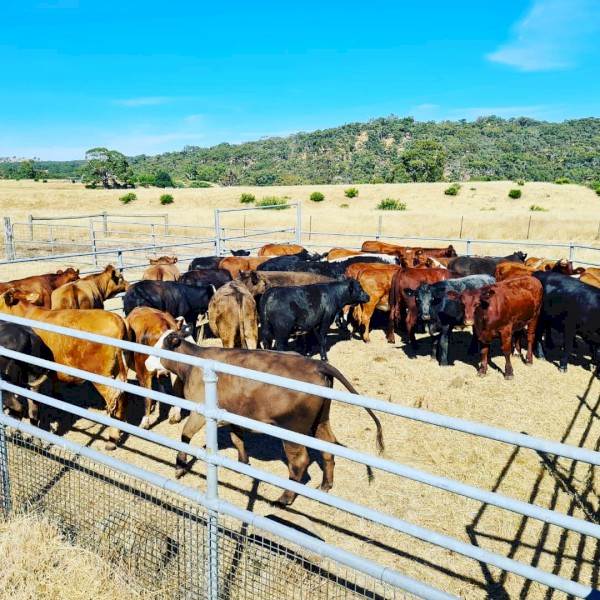 WANTED Lease Land