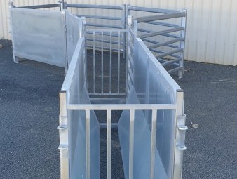 New Sheep Drafting Unit with Bugle Race