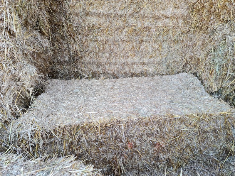 Oaten Hay Sheded-8x4x3 Squares, 500kg+
