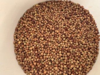 Dunn Peas