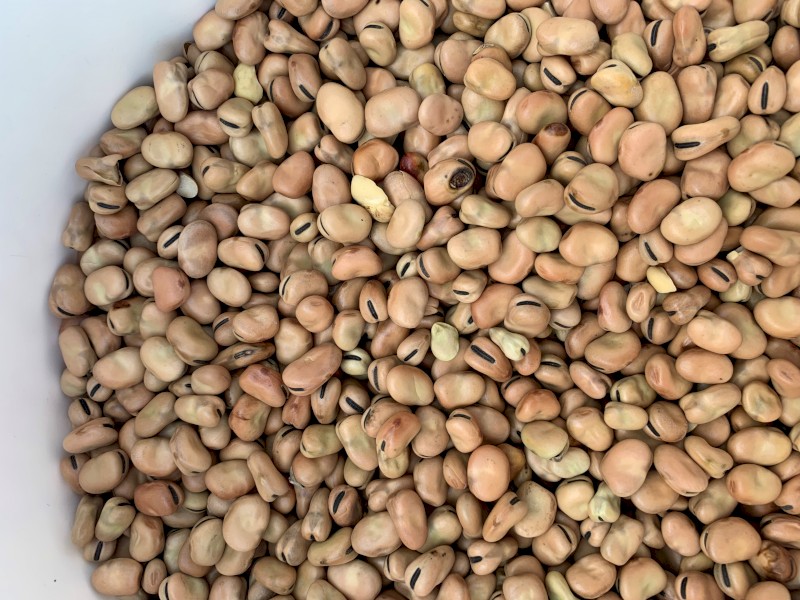 Bendoc Beans
