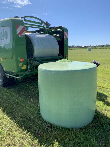Lucerne Silage new season