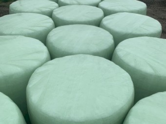 Lucerne Silage new season