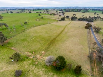 Ready for Sheep on 40 acres of property.