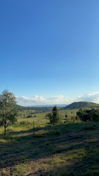 Grazing Land
