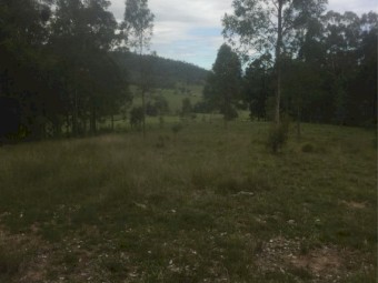 Grazing Land