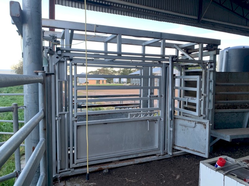 Cattle Yards