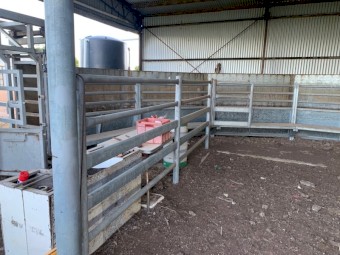 Cattle Yards