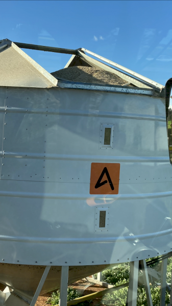 Barley Grain