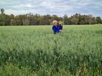 Oaten hay