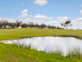 20 acres of pasture land + dam for Lease - $100 per week