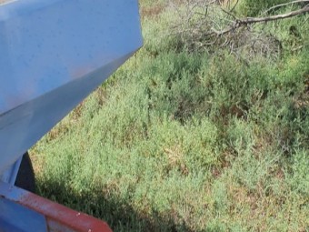 Reed Chaser Bin