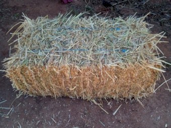 Oaten Hay  first cut small squares