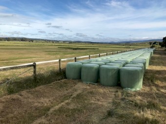 2021 Ryegrass Silage Rolls