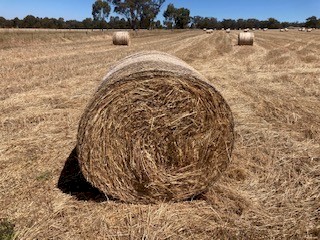 Oaten Vetch Hay - New Season