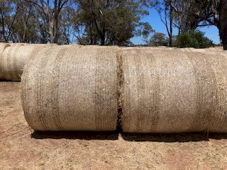 Oaten Hay - New Season