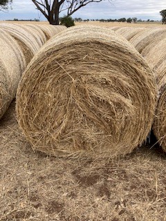 Grass Hay - New Season