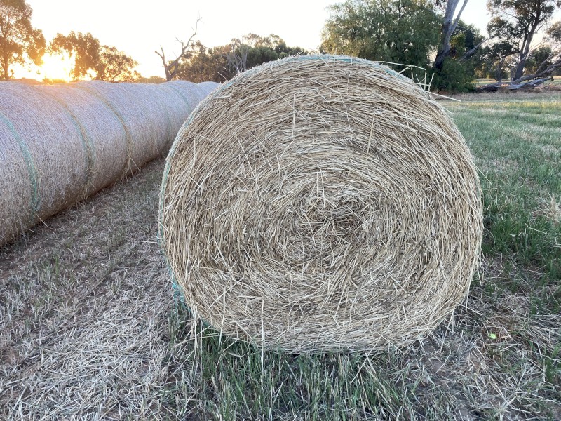 70 x Wheaten Hay 5x4 Round Bales