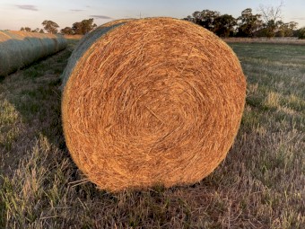 70 x Wheaten Hay 5x4 Round Bales