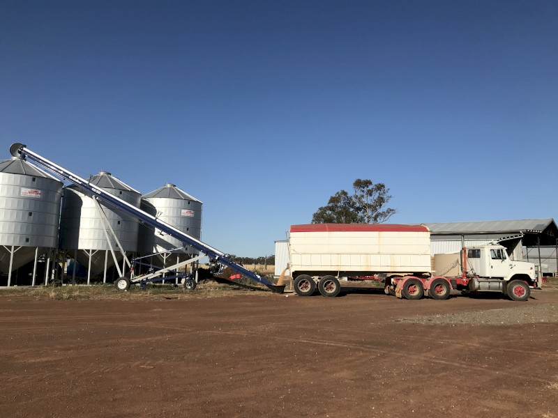 Grain tipper trailer