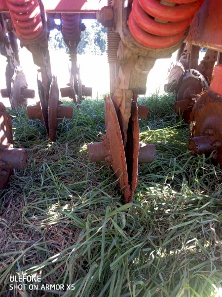 WANTED RFM Disc Seeder