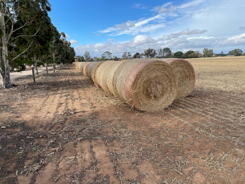 B1 Oaten Hay Round Bales Season 2021