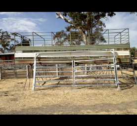 Cattle Crate