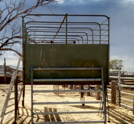 Cattle Crate