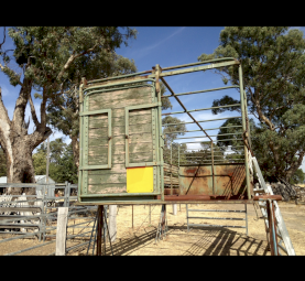 Cattle Crate