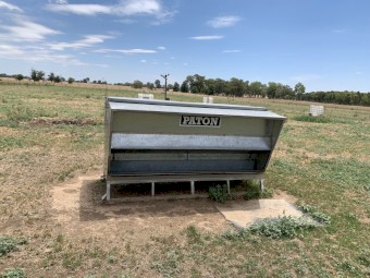 Paton sheep feeder 