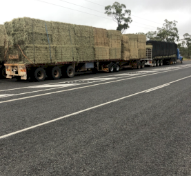 Rhodes Hay