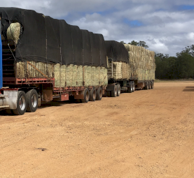 Rhodes Hay
