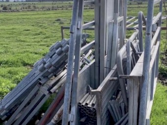 Cattle Ramp