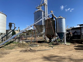 Roller Mill & Tempering System