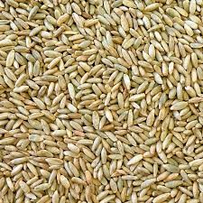 Certified Organic Cereal Rye