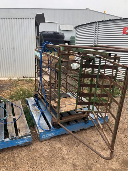 Prattley 2 way sheep scales and draft 