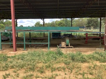 Rotary chaff mill