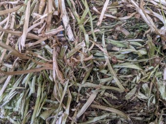 Clover Hay - Small Squares and Rounds
