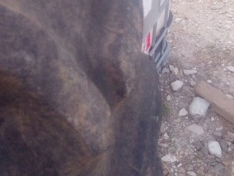 Tractor tyre