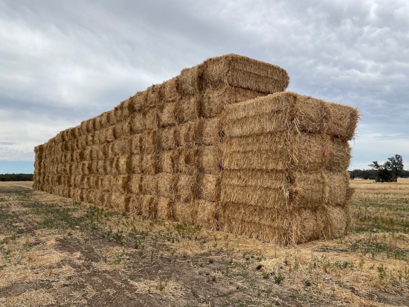 New Season Oaten Hay 8x4x3 Bales
