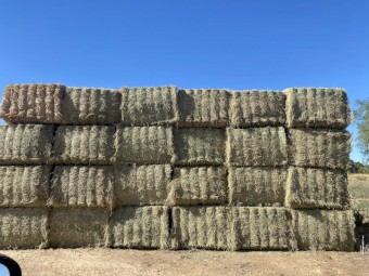 2nd cut lucerne