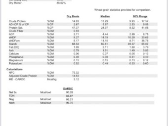 Scepter Wheat feed