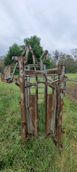 Cattle crush.