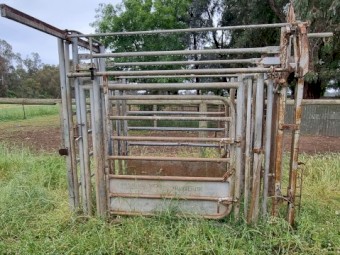 Cattle crush.