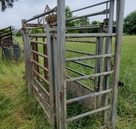 Cattle crush.