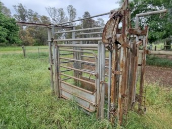 Cattle crush.