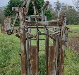 Cattle crush.