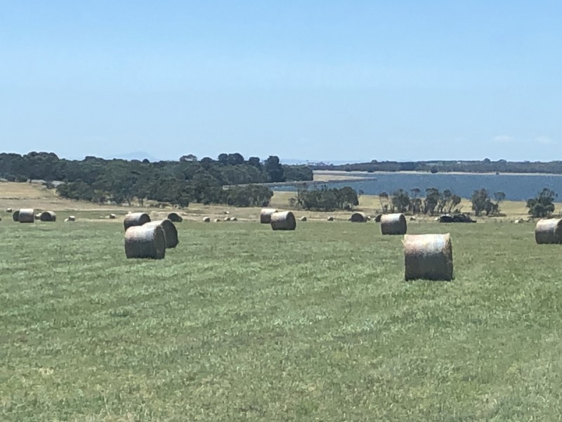 Rolls pasture hay