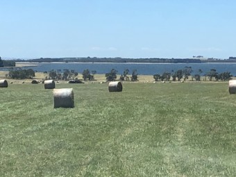 Rolls pasture hay