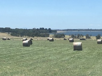 Rolls pasture hay